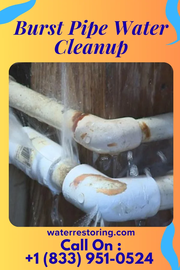 Burst Pipe Water Cleanup in Enon, VA