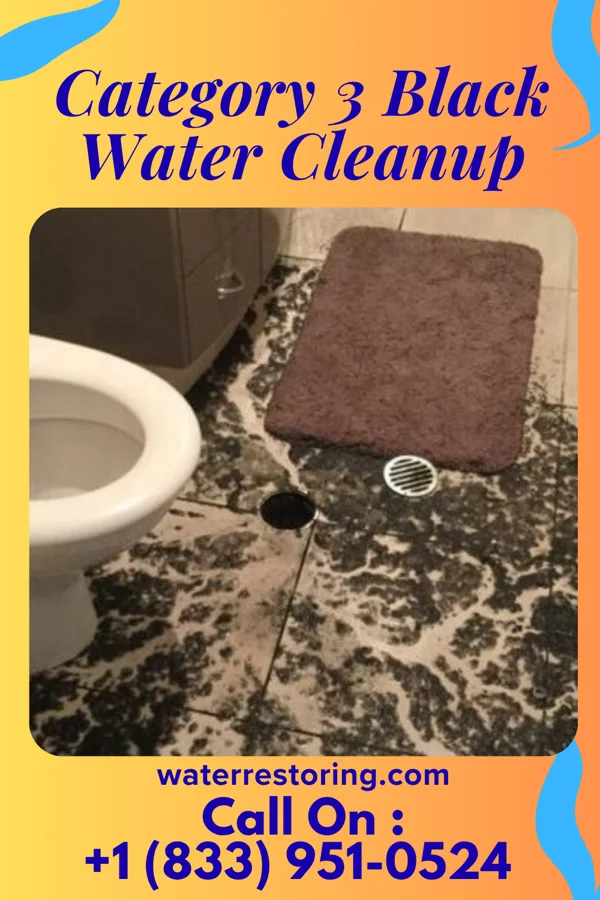 Category 3 Black Water Cleanup in Enon, VA