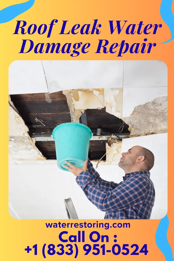 Roof Leak Water Damage Repair in Enon, VA
