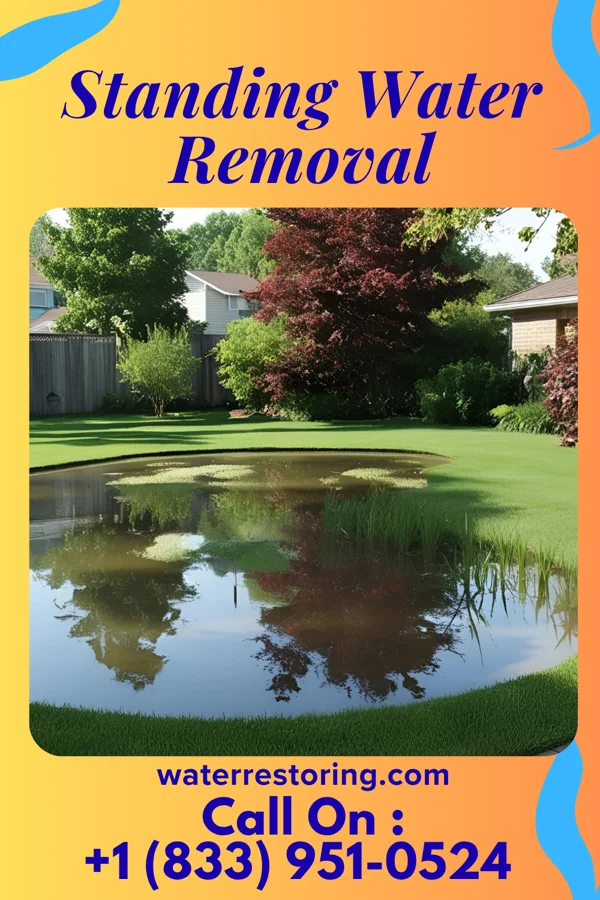 Standing Water Removal in Enon, VA